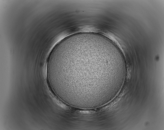 X0000099311227200805091010