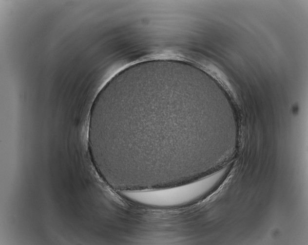 X0000099311228200805091010