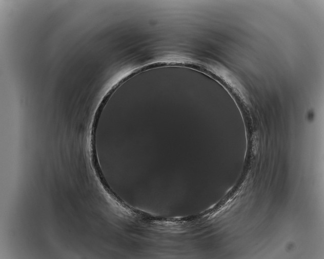X0000099311229200805091010