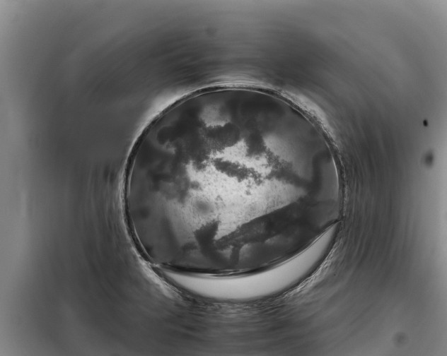 X0000099311231200805091010