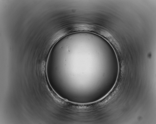 X0000099311233200805091010