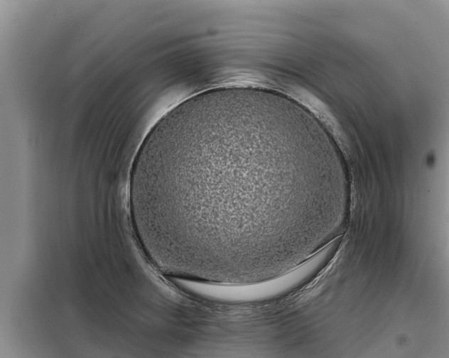 X0000099311234200805091010