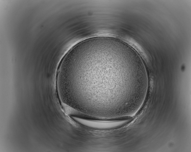 X0000099311236200805091010