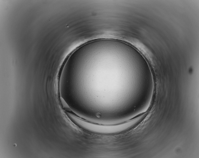 X0000099311238200805091010