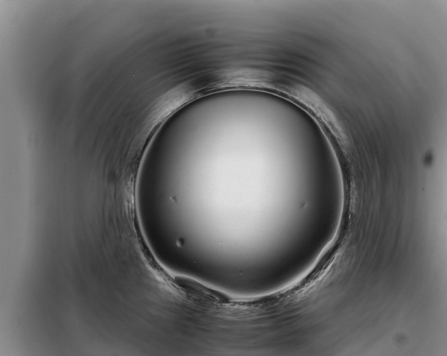 X0000099311241200805091010
