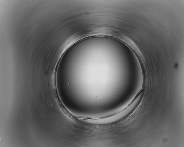 X0000099311242200805091010