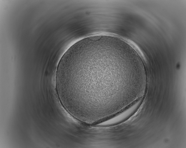 X0000099311244200805091010