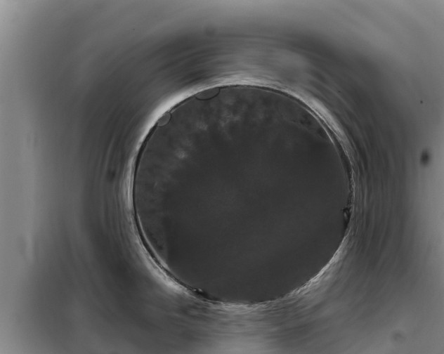 X0000099311246200805091010