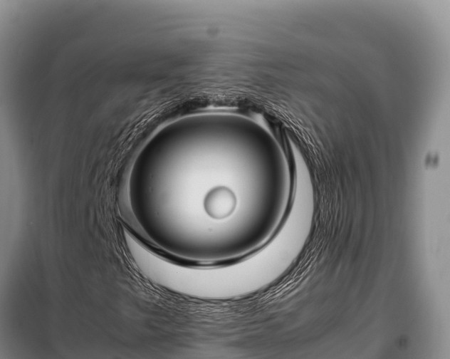 X0000099311249200805091009
