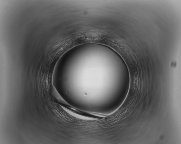 X0000099311250200805091009