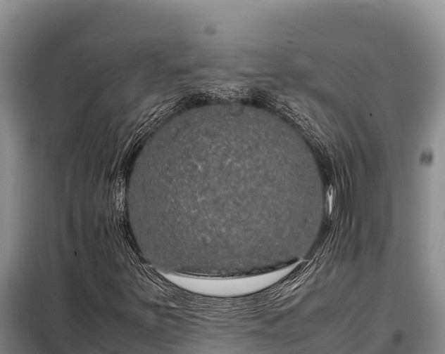 X0000099311251200805091009