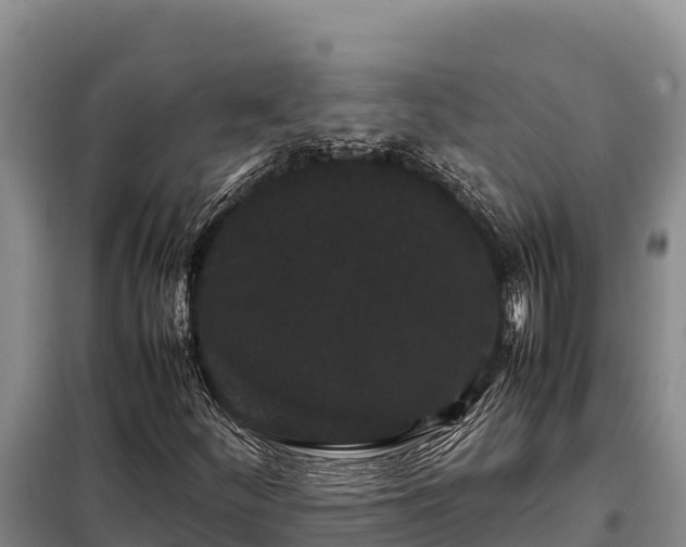 X0000099311252200805091009