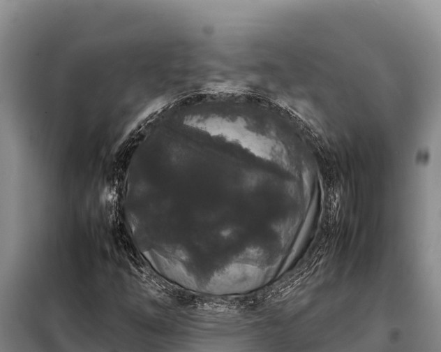 X0000099311254200805091009