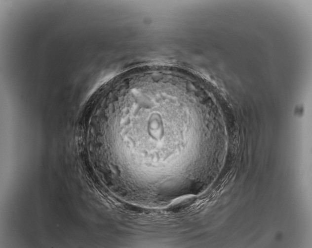 X0000099311255200805091009