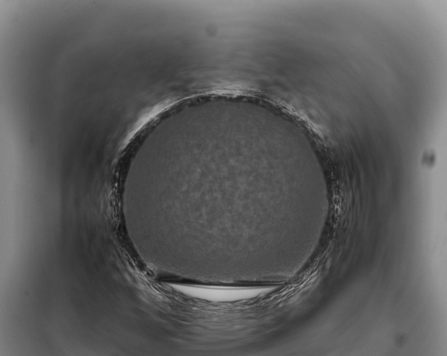 X0000099311256200805091009