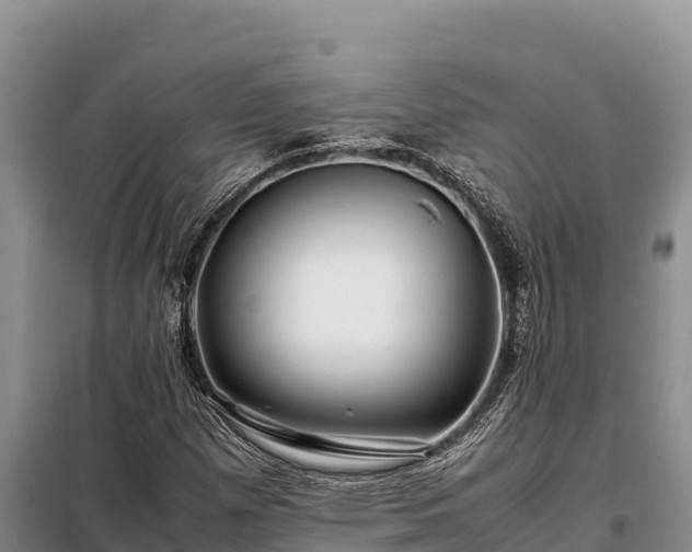X0000099311257200805091009