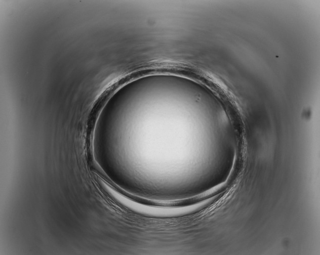 X0000099311259200805091009