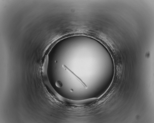 X0000099311260200805091009