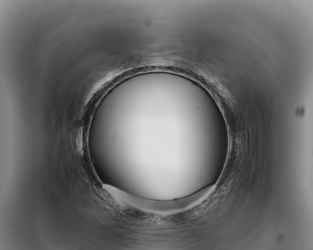 X0000099311262200805091009