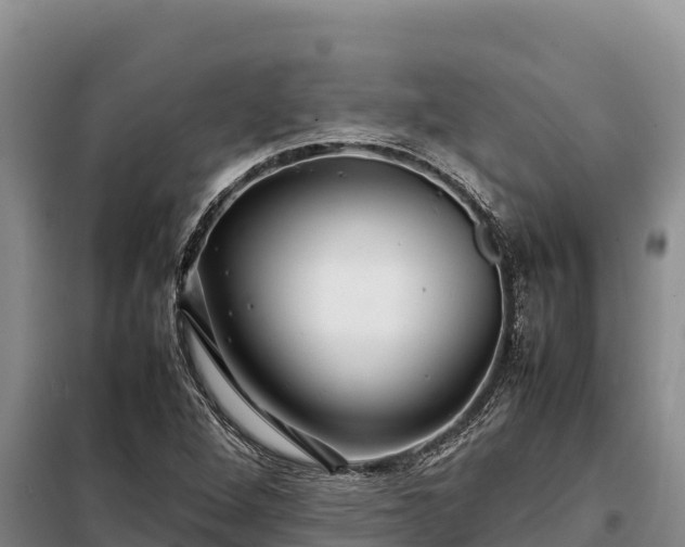 X0000099311264200805091009