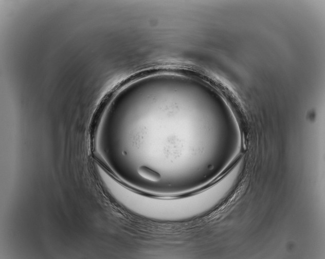 X0000099311267200805091009