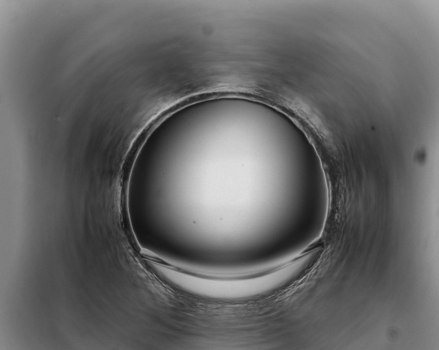 X0000099311268200805091009