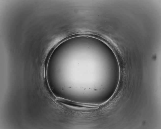 X0000099311269200805091009