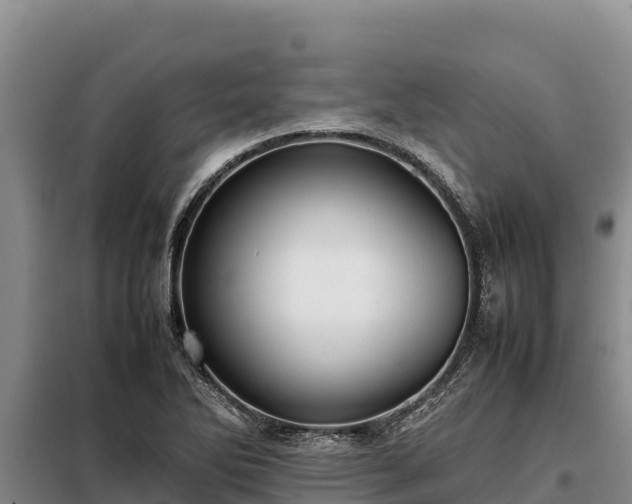 X0000099311270200805091009