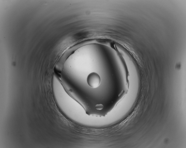 X0000099311273200805091009