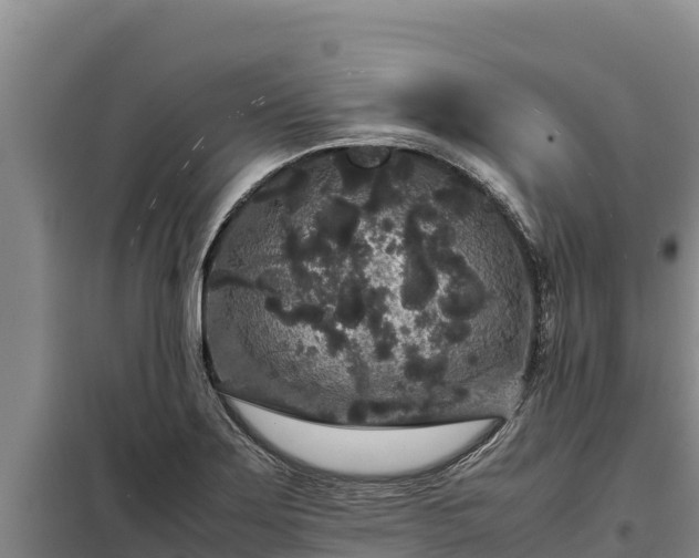 X0000099311275200805091009