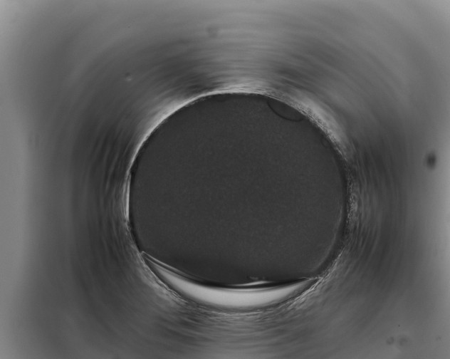 X0000099311276200805091009