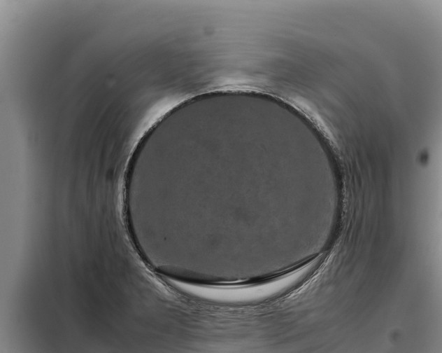 X0000099311277200805091009