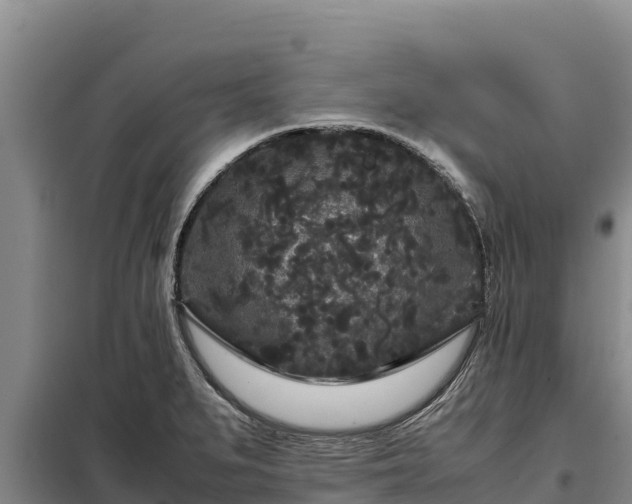 X0000099311279200805091009