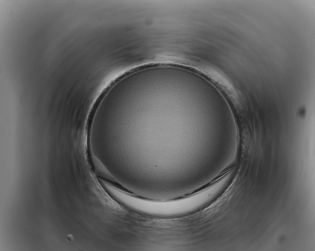 X0000099311280200805091009