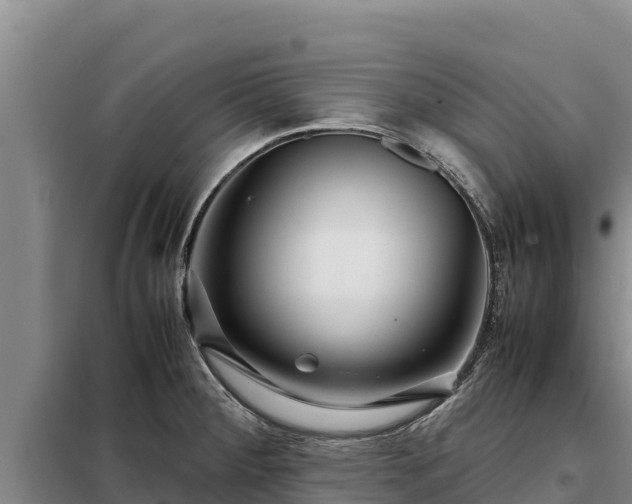 X0000099311284200805091009