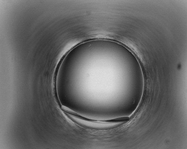 X0000099311285200805091009