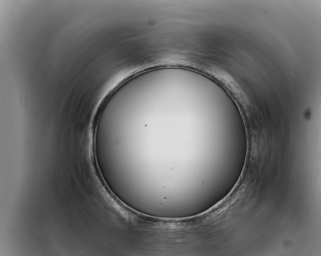 X0000099311286200805091009