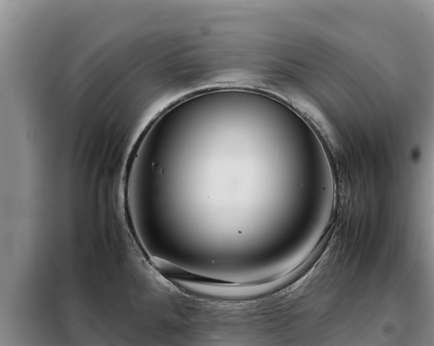 X0000099311288200805091009