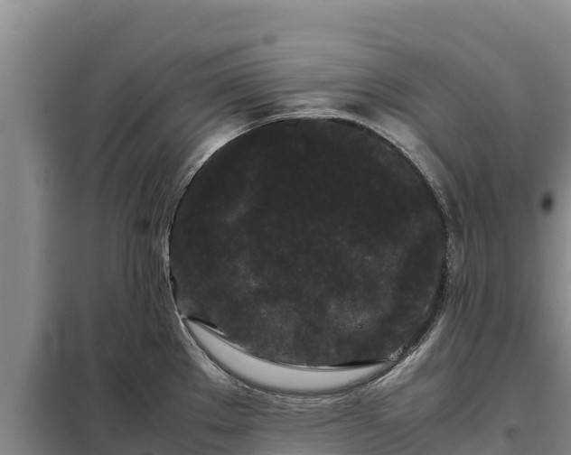 X0000099311289200805091009