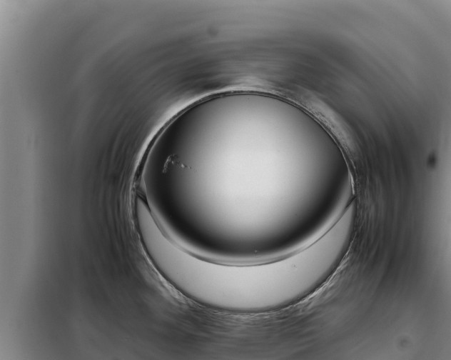 X0000099311292200805091009