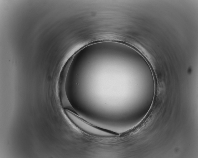 X0000099311293200805091009