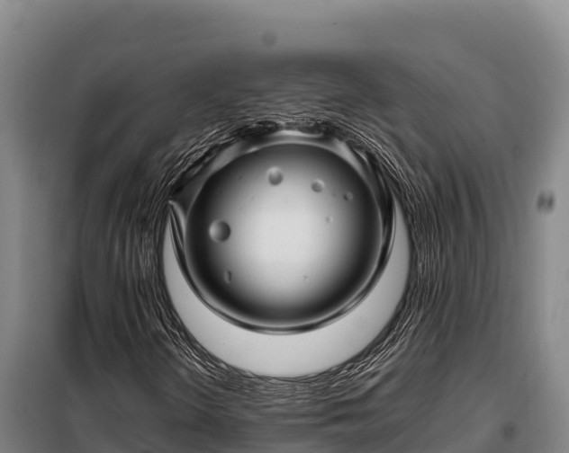 X0000099311298200805091008