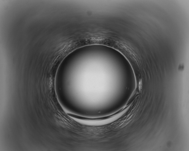 X0000099311299200805091008