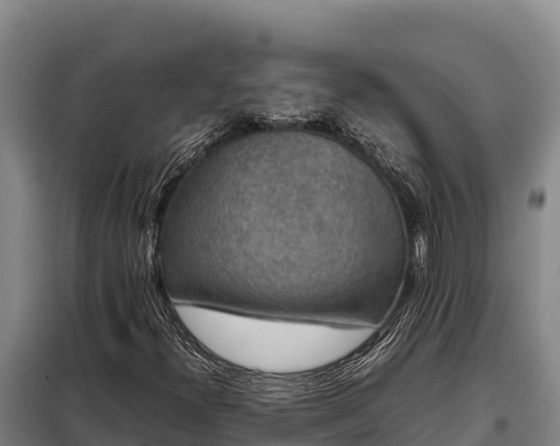 X0000099311300200805091008