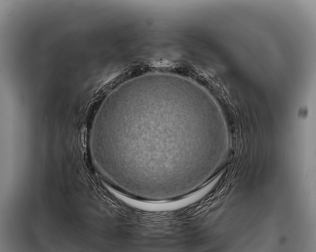 X0000099311301200805091008