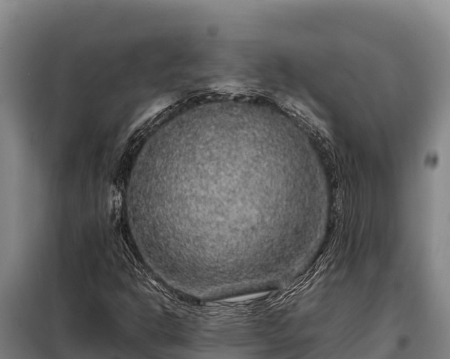 X0000099311302200805091008