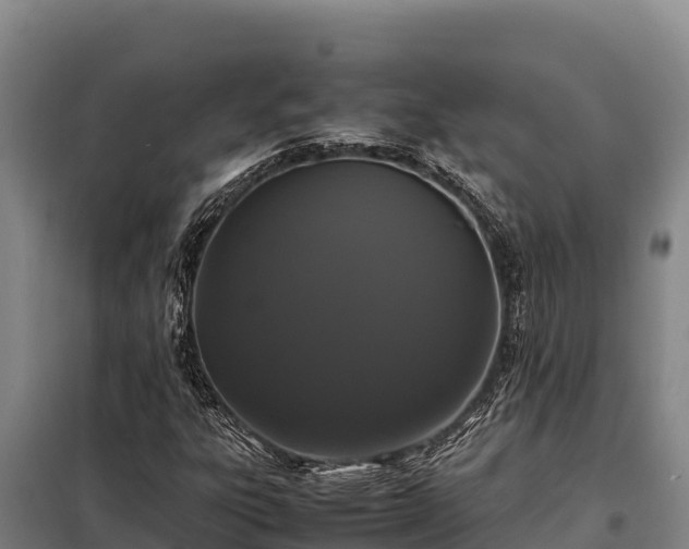 X0000099311303200805091008