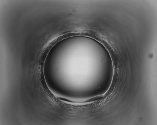 X0000099311304200805091008