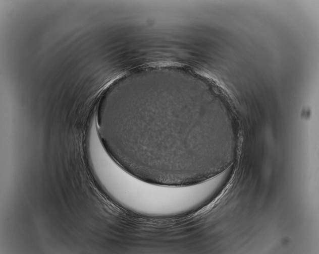 X0000099311305200805091008