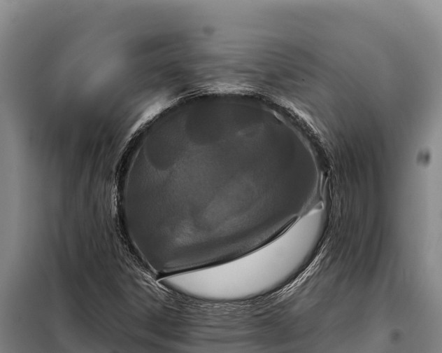 X0000099311306200805091008